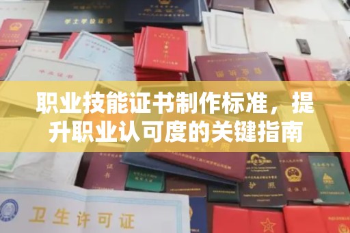 普湾新区职业技能证书制作标准，提升职业认可度的关键指南